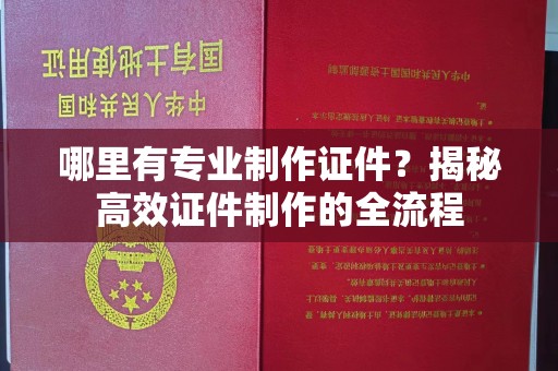 枣阳哪里有专业制作证件？揭秘高效证件制作的全流程